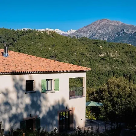 Apartment T3 Bas De *